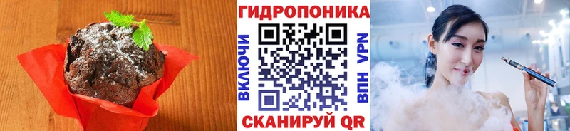 omg зеркало  Вилючинск  Canna-Cookies марихуана 