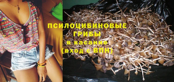 гашик Баксан