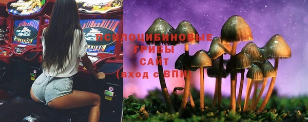 гашик Баксан