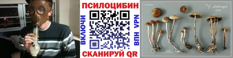 Псилоцибиновые грибы Psilocybine cubensis Вилючинск